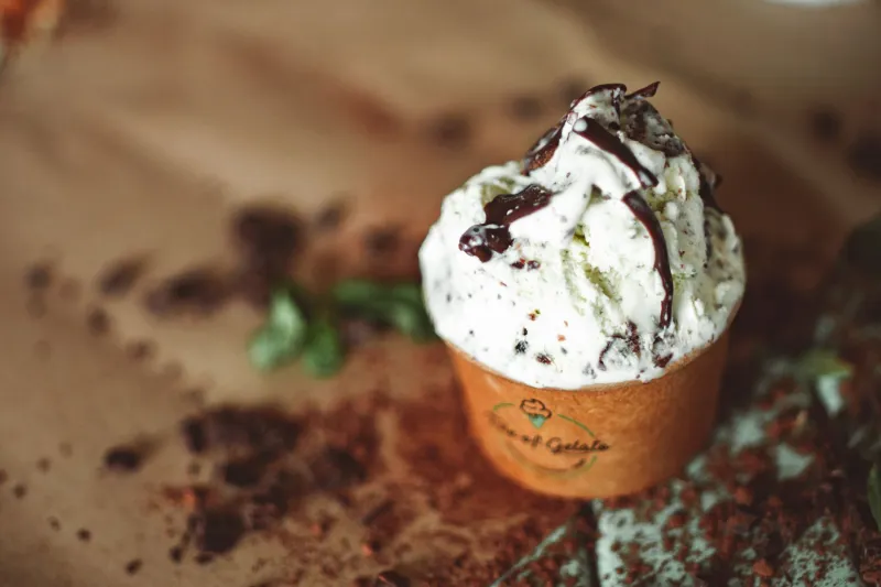 One Flavor Ruled Them All: The Untold Story of How Mint Chocolate Chip Conquered the Freezer Aisle