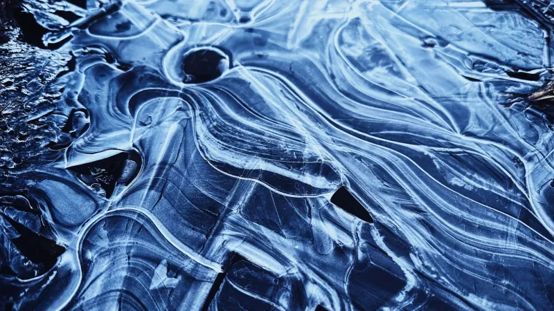 Your Tongue Is Lying to You: The Wild Science of Why Mint Candy Feels Freezing